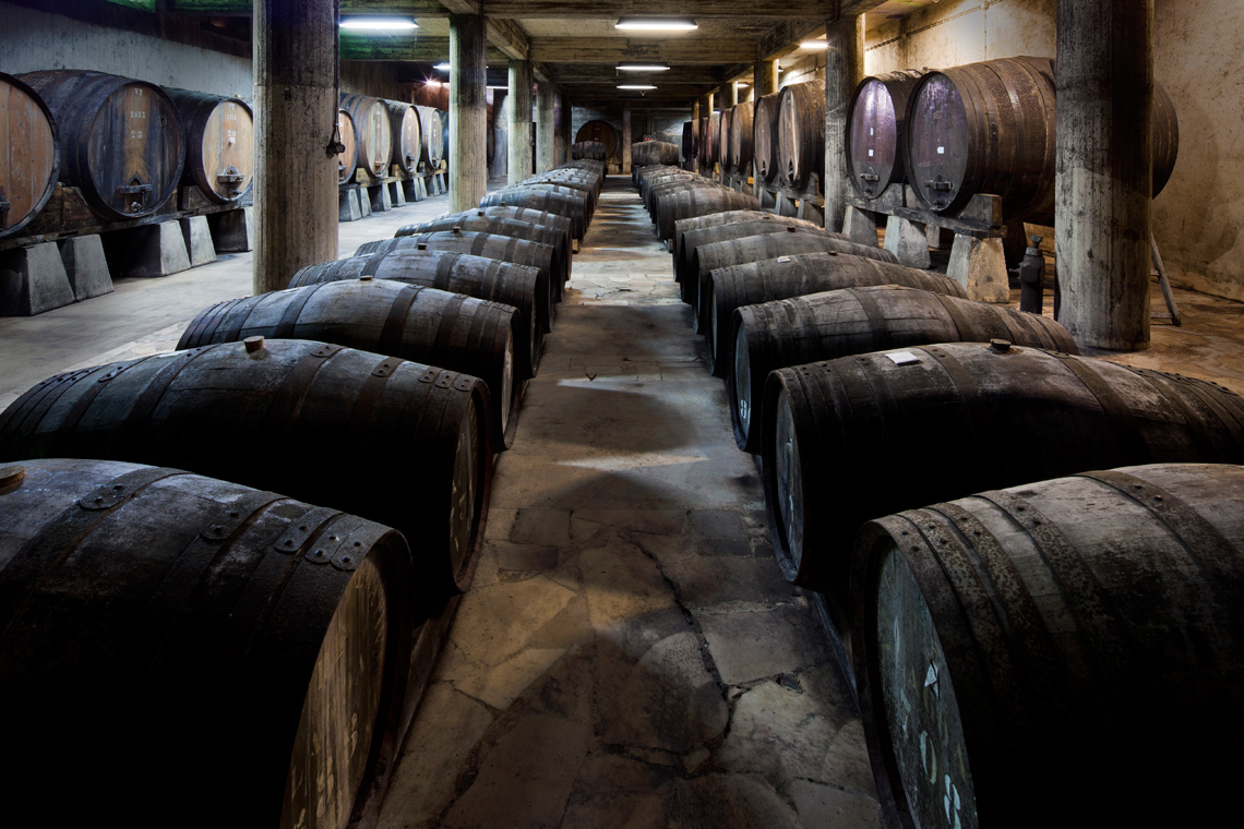ÚNICA – Adega Cooperativa do Algarve / ÚNICA – Wine Cellar