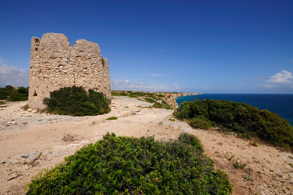 Torre da Lapa / Watchtower of Lapa