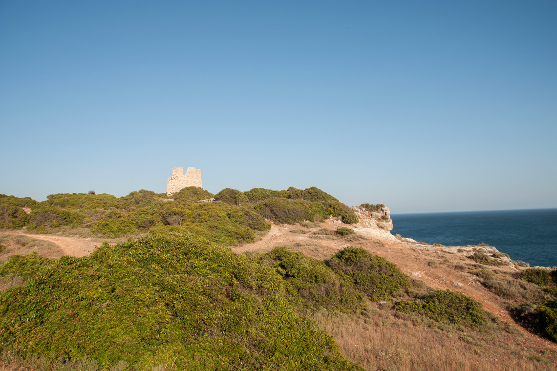 Torre da Lapa / Watchtower of Lapa