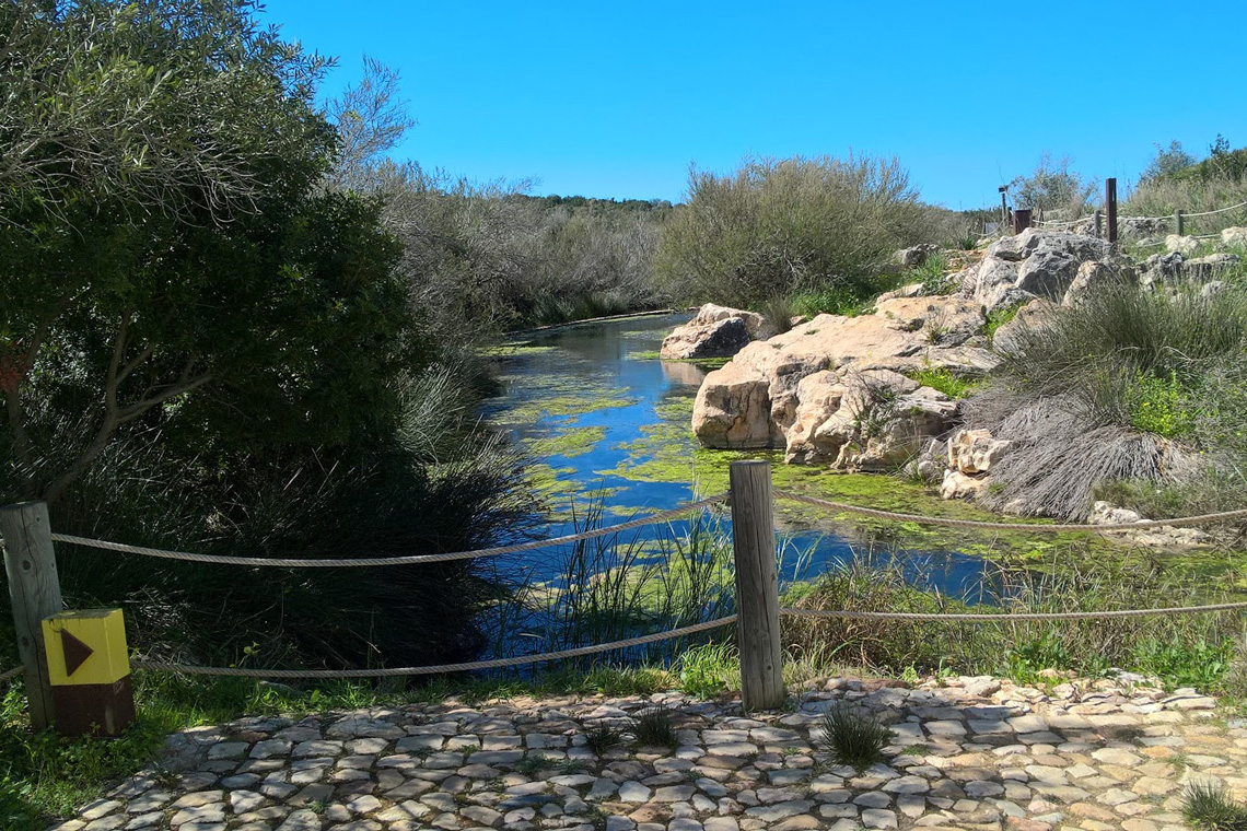 Sítio das Fontes / Sítio das Fontes (Estômbar Springs)