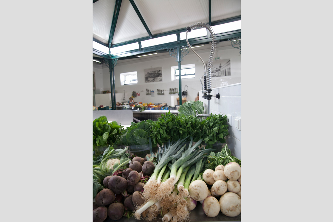 Mercado Municipal / Municipal Market